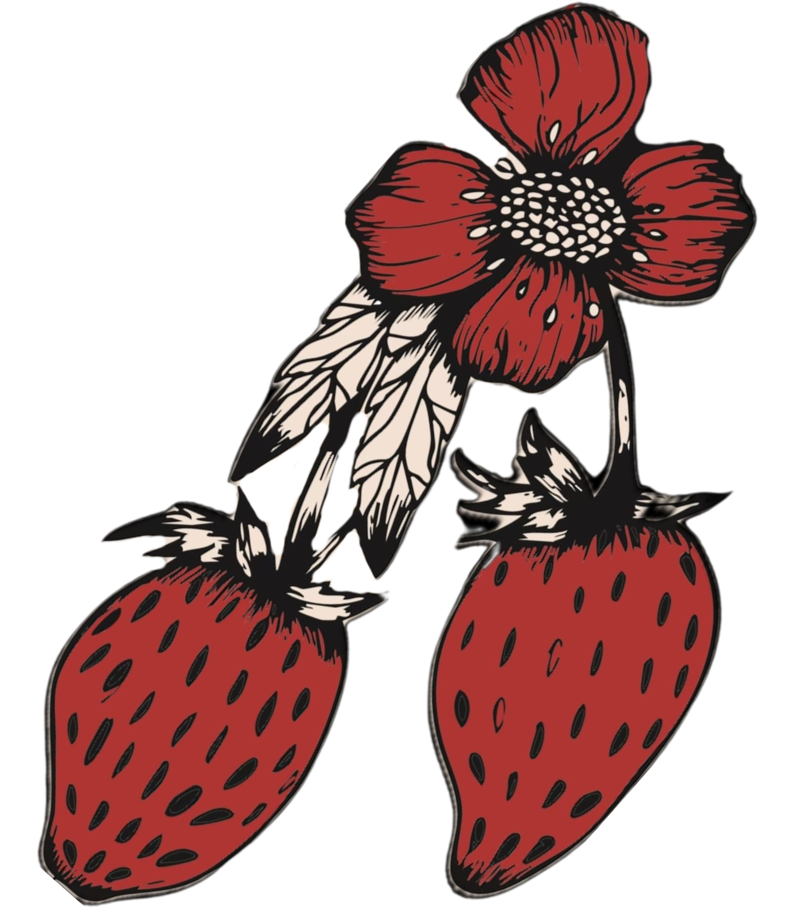 Quincy Farmers Market